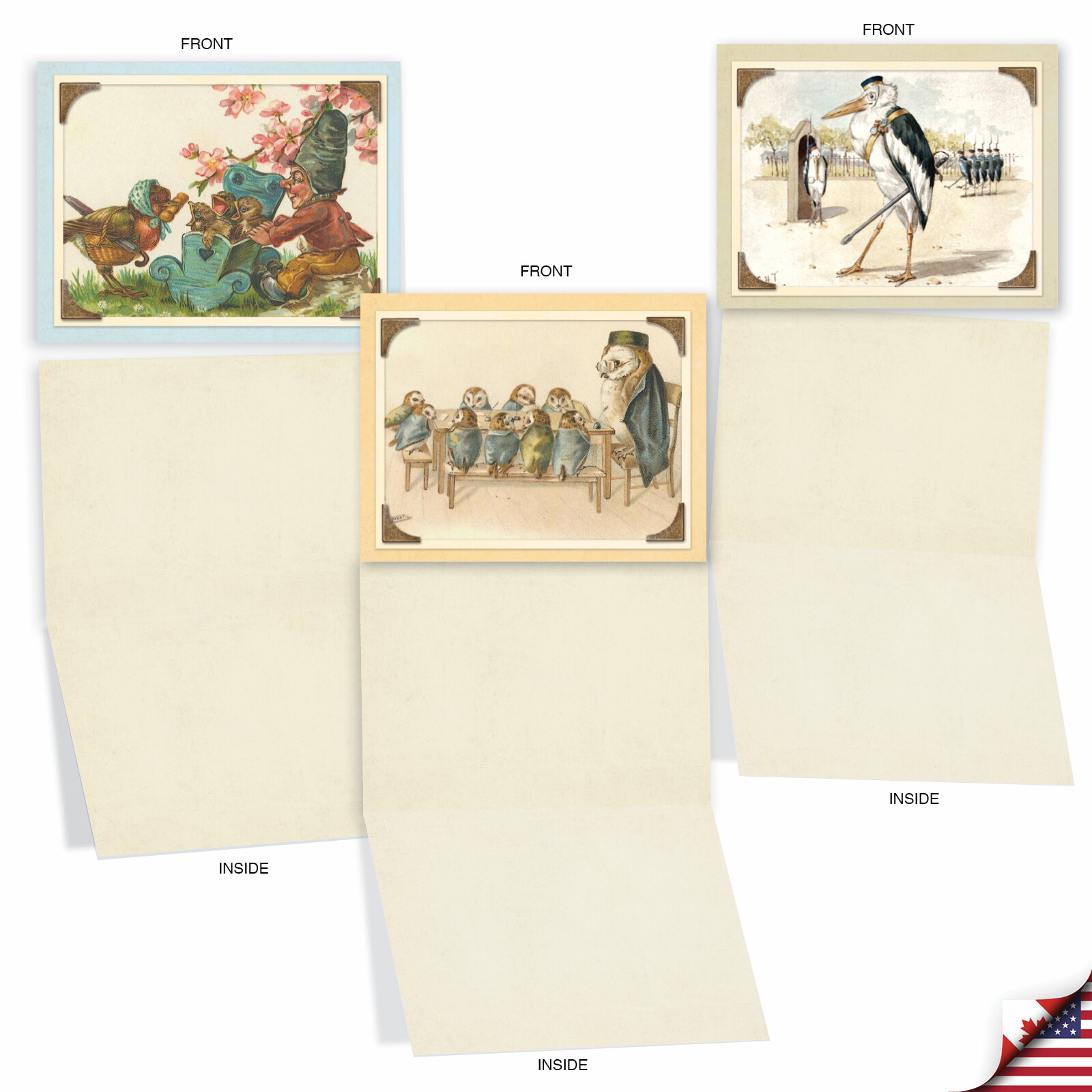 10 Assorted All Occasion Blank Note Cards with Envelopes – SWEET TWEETS M2344OCB