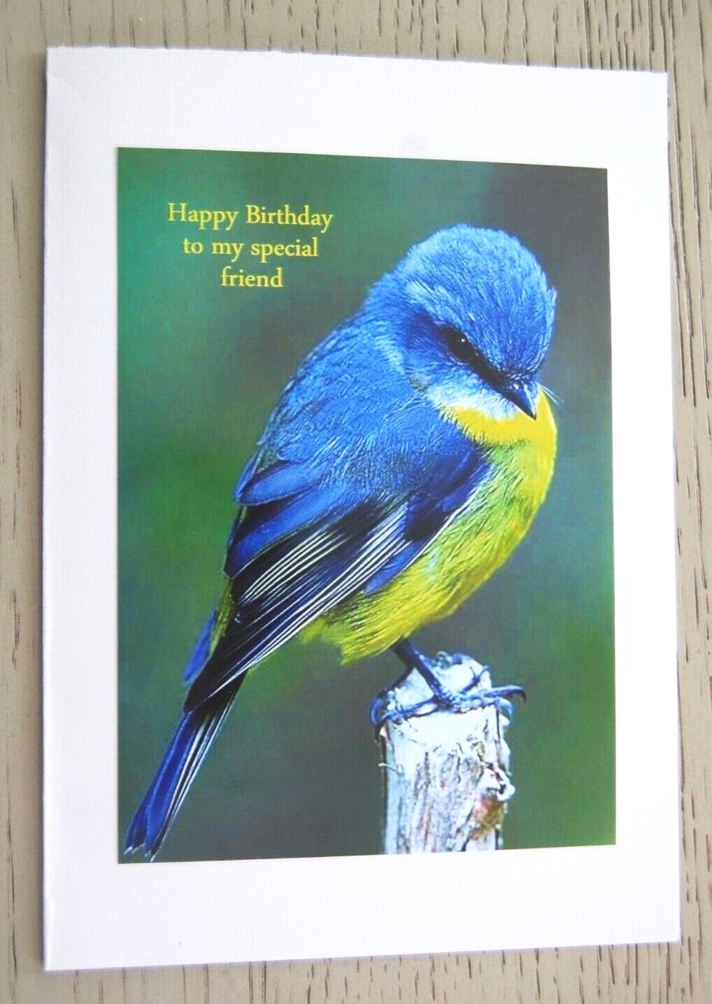 Happy Birthday Friend, Glossy Print on Fine Linen Cardstock, FREE SHIPPING