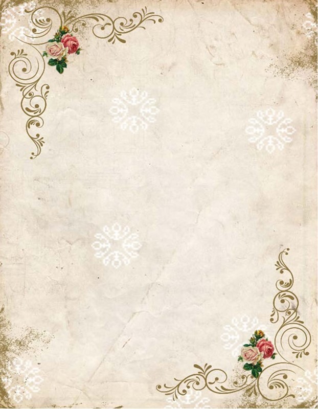 8 Peacocks Vintage 8 glossy blank note cards with envelopes and organza bag