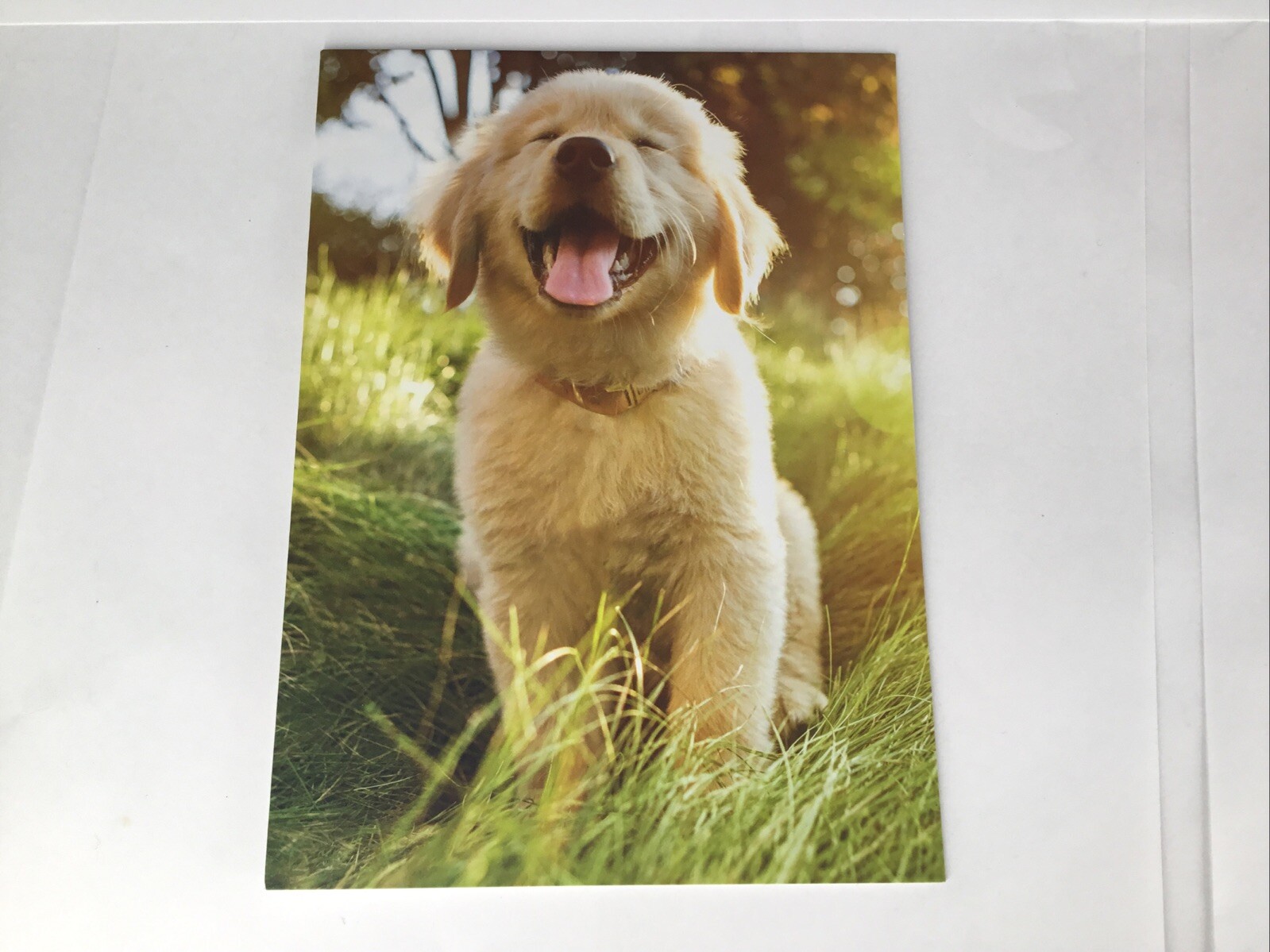 Forty-five Blank Avanti Cards Four Different Styles W/ Envelopes Free Shipping