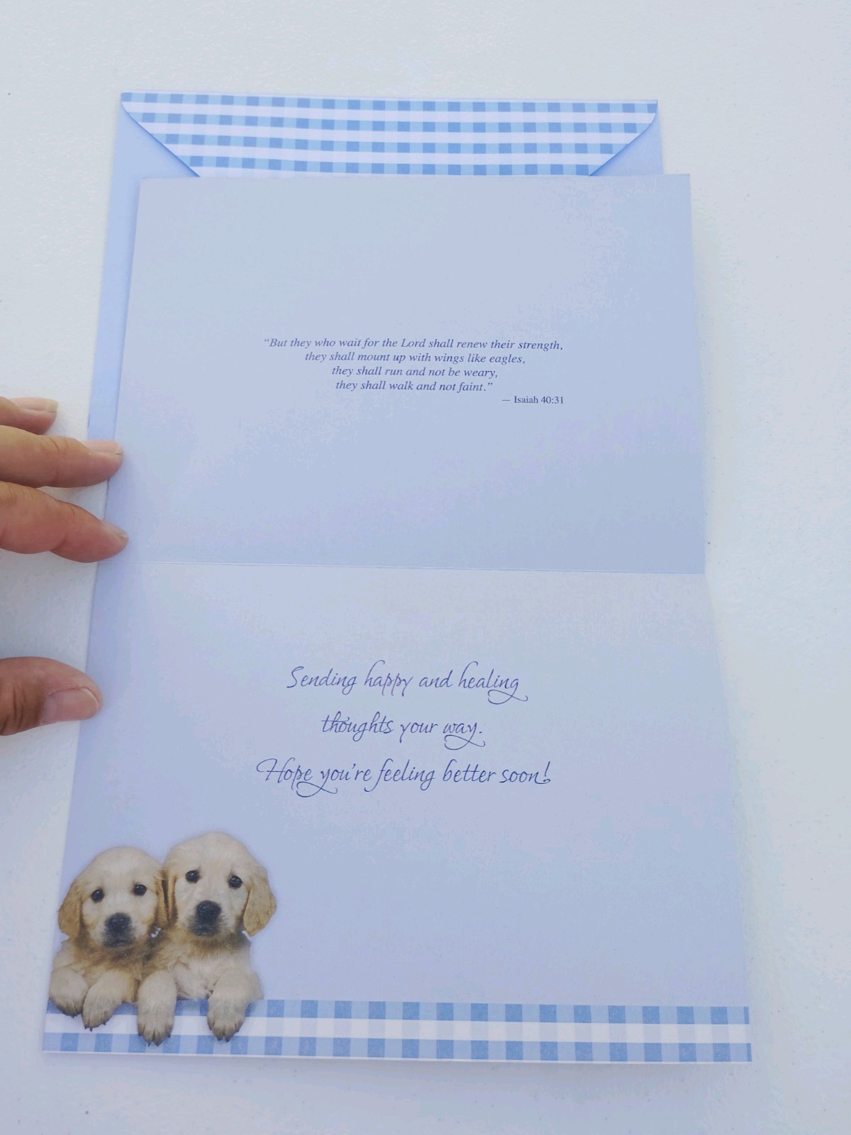 Get Well Card Greetings Card Labrador Puppies Comes With Envelope