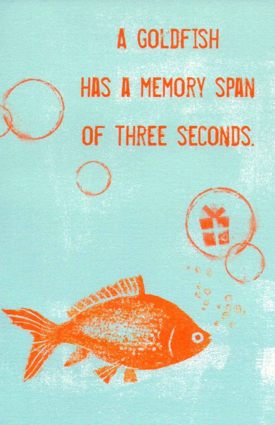 Funny HAPPY BELATED BIRTHDAY Card, Gold Fish, by American Greetings + Envelope