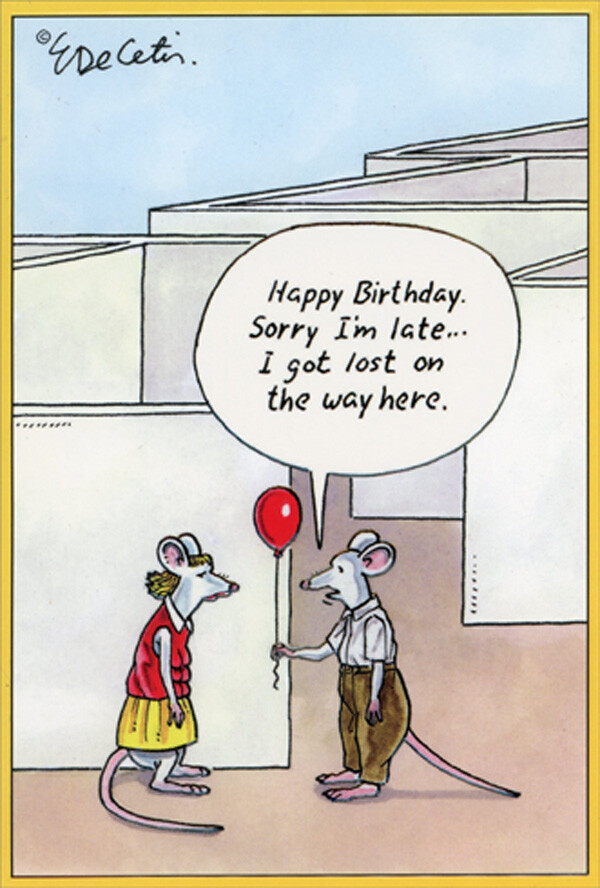 Pictura Rat Maze Got Lost Funny Belated Birthday Card