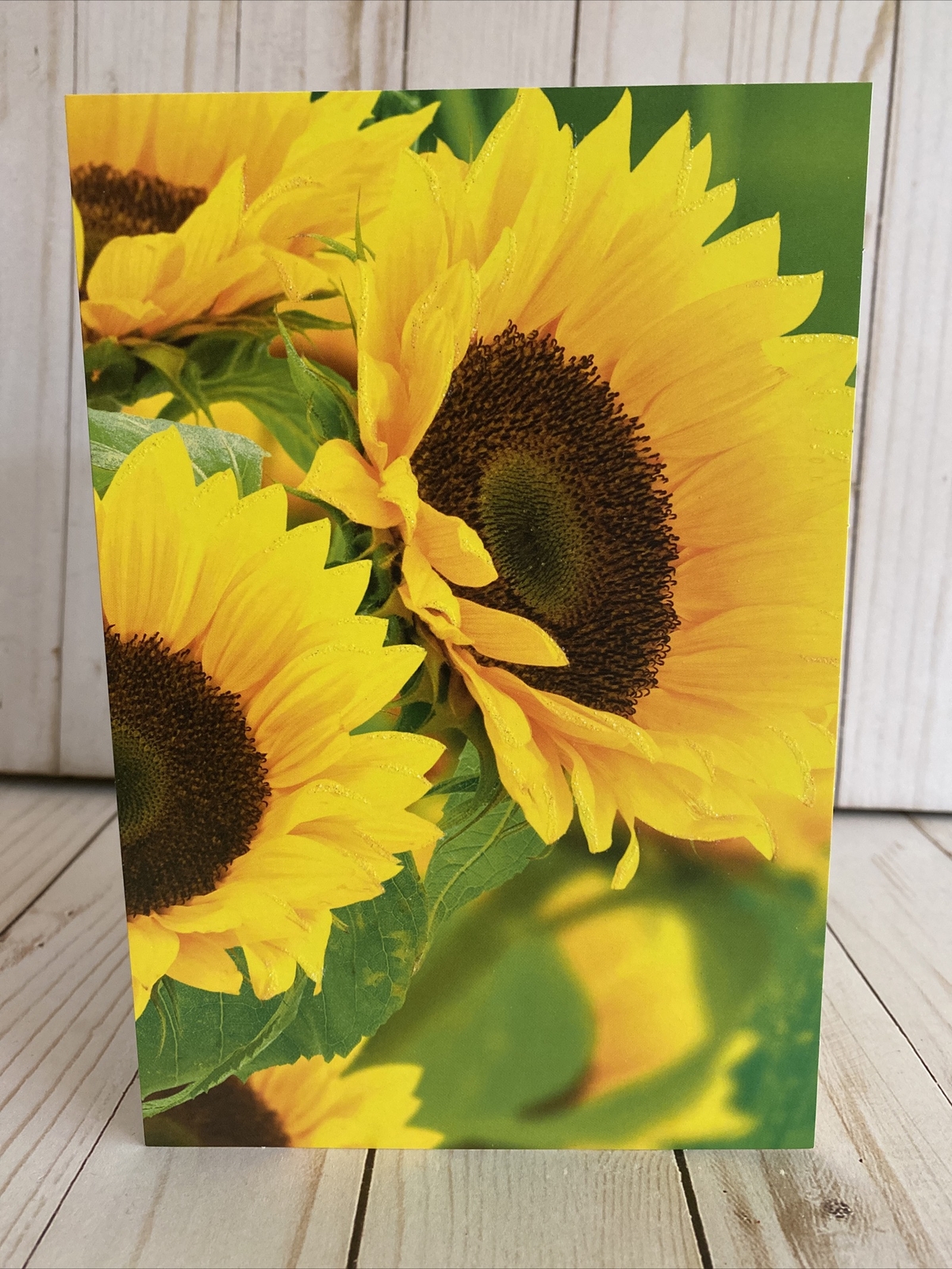 Beautiful Yellow Sunflowers Card Blank Inside Yellow Autumn Fall Anytime New
