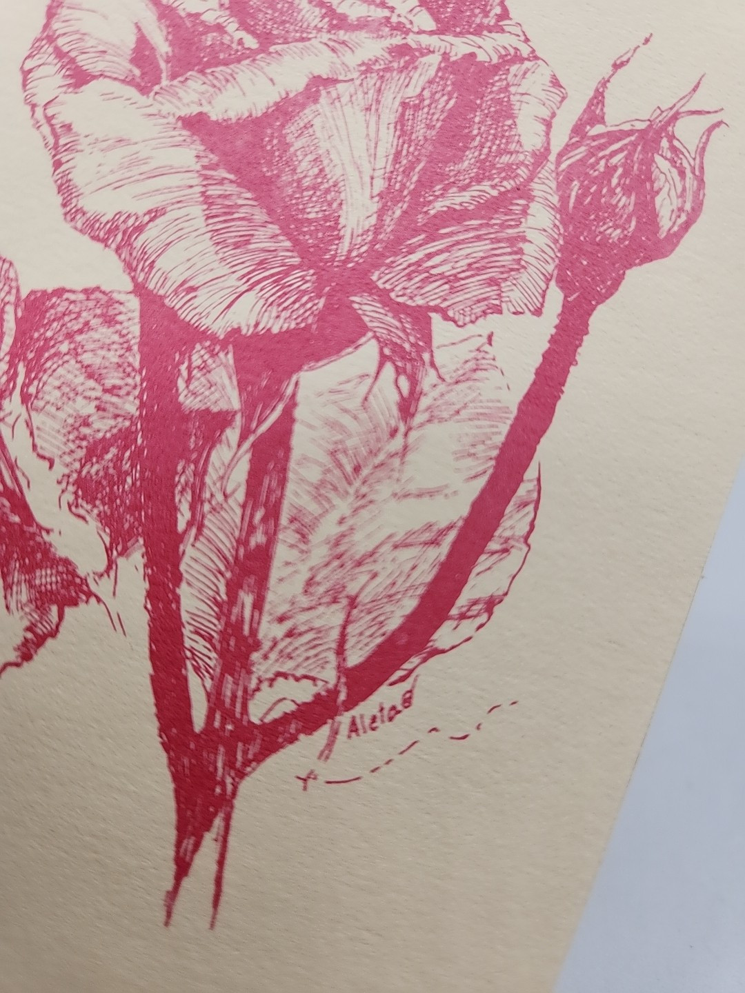12 Printed Floral Notecards Botanical Art Stationary Cards Artist Vtg Signed