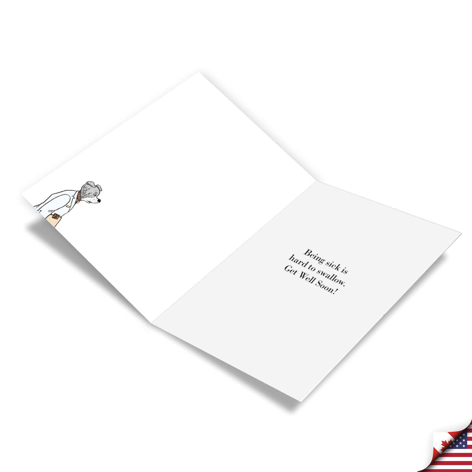 1 Funny Get Well Greeting Card with Envelope Dog Pills – NobleWorks