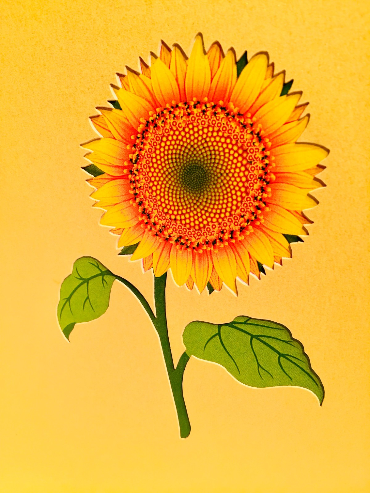 Origami Pop Cards Golden Sunflower Bouquet Wrapped in Red Ribbon 3D Pop Up Card