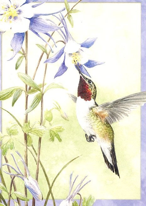 Garden Dream – Tree Free Greetings – 10971