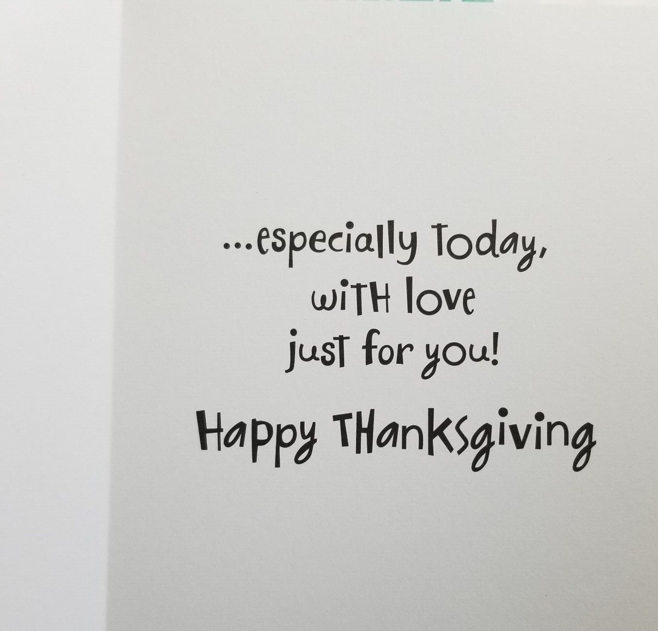 Thanksgiving Greeting Cards Turkey General Anyone Any Age Set of 2 Cards