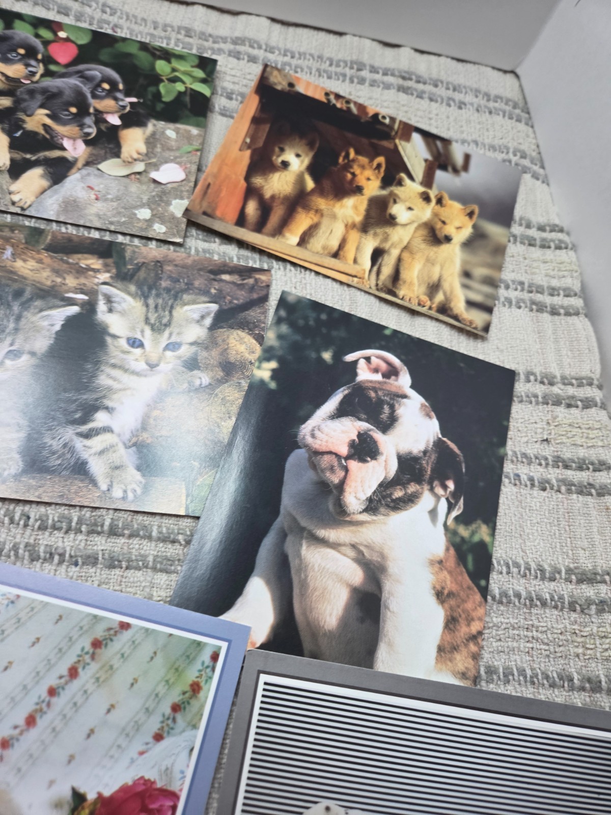 Puppies and kittens greeting cards lot of 19, any occasion