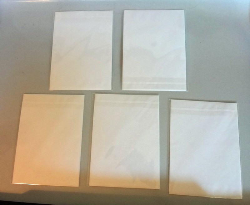 5 Nature Art Photo Greeting Cards Blank EACH SEALED Trees Bridge MORE P. Tripodi