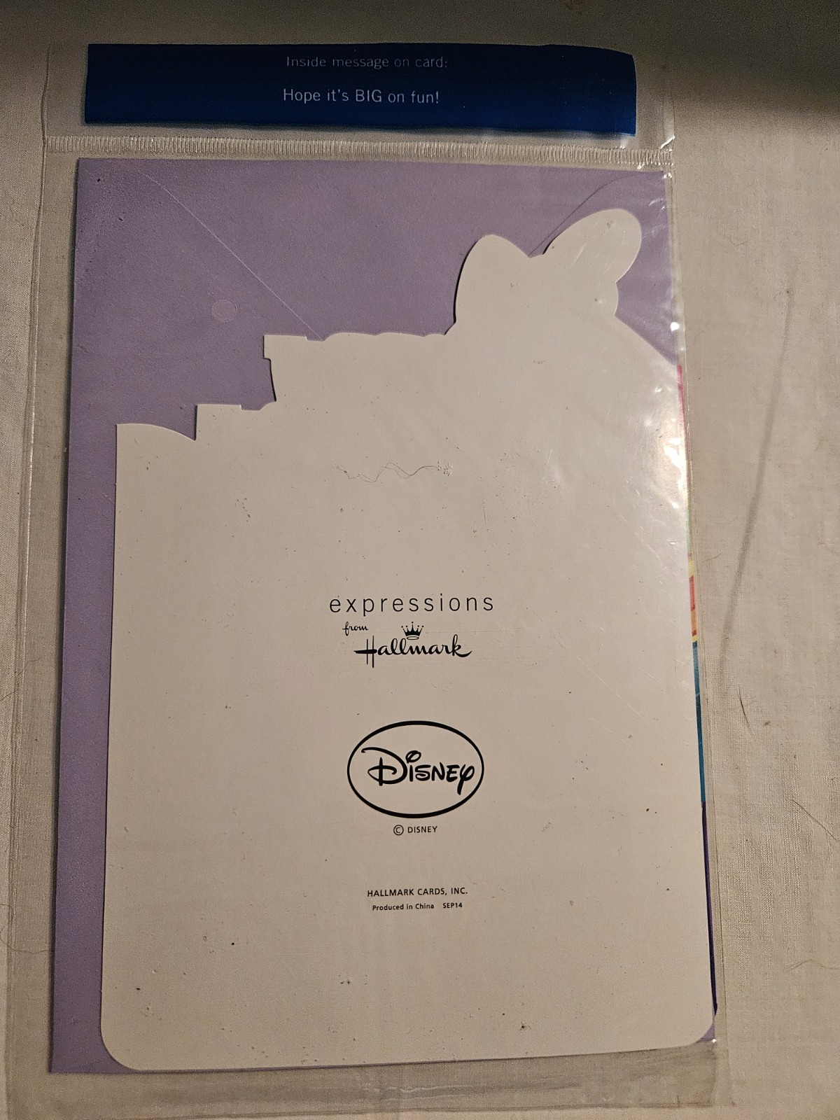NEW Hallmark Expressions Disney Minnie Mouse Birthday Card w/Envelope & Tissue