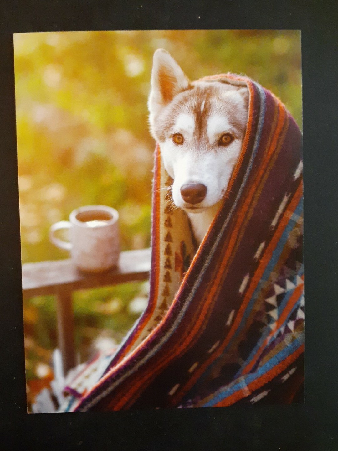 Funny Get Well Card