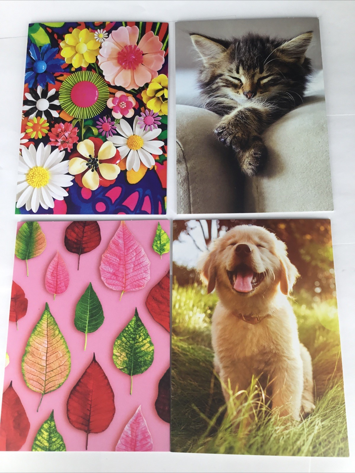 Forty-five Blank Avanti Cards Four Different Styles W/ Envelopes Free Shipping
