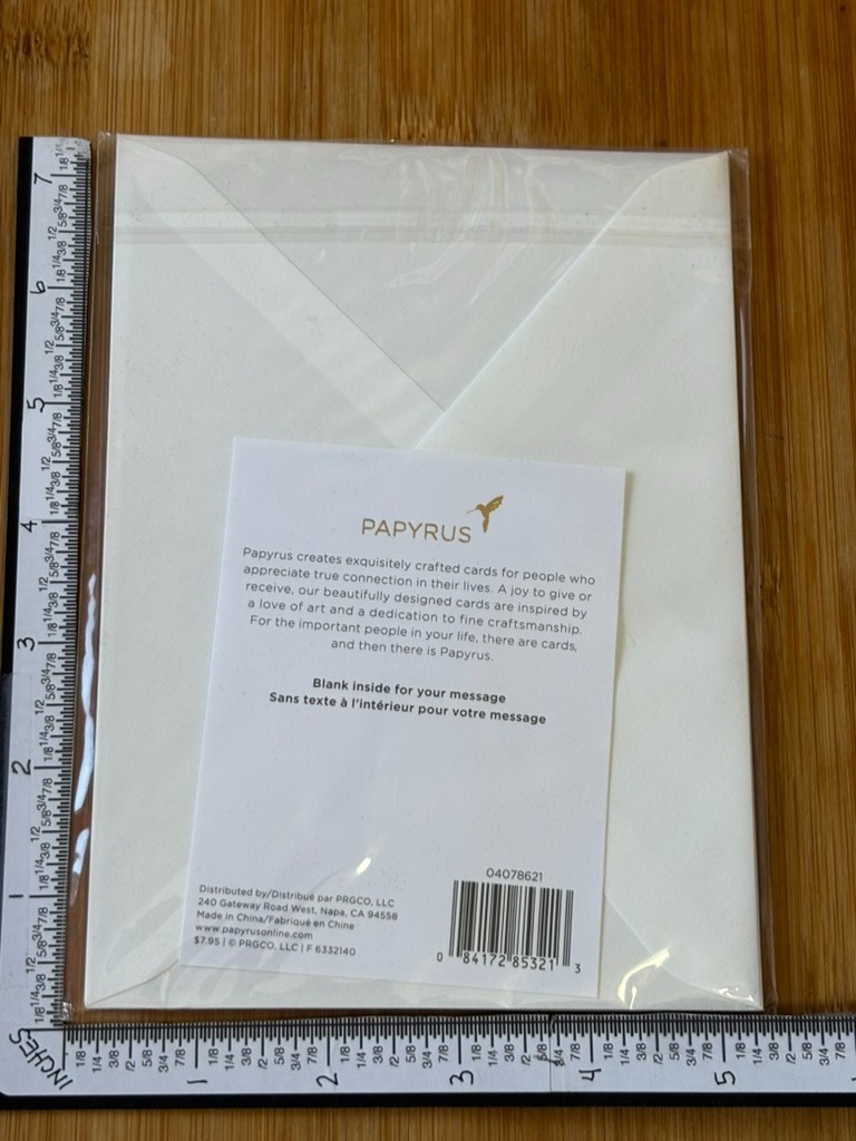 Papyrus Greeting Card Note Blank Birthday Any Occasion I Love Every PHASE of US