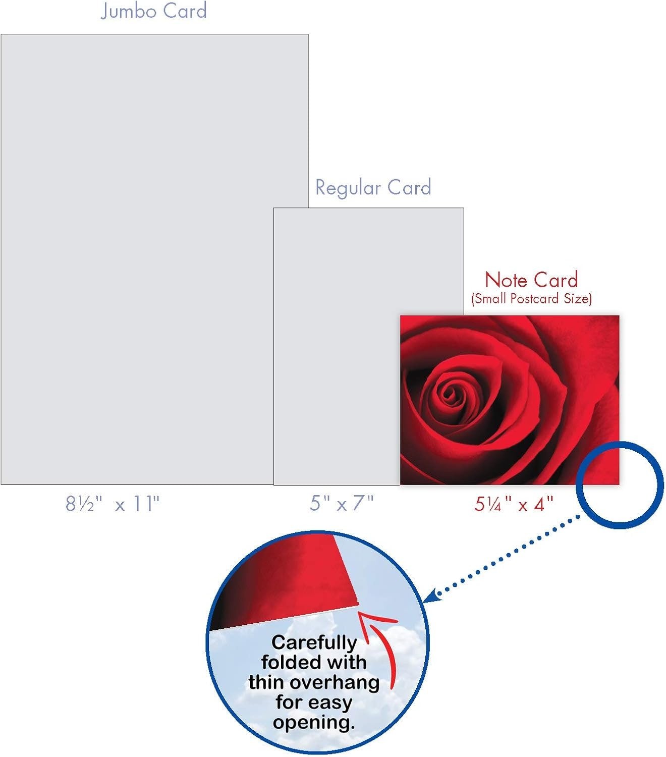 Floral Valentine Greeting Cards 10 Pack with Envelopes for Special Occasions