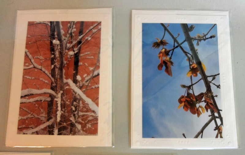 5 Nature Art Photo Greeting Cards Blank EACH SEALED Trees Bridge MORE P. Tripodi
