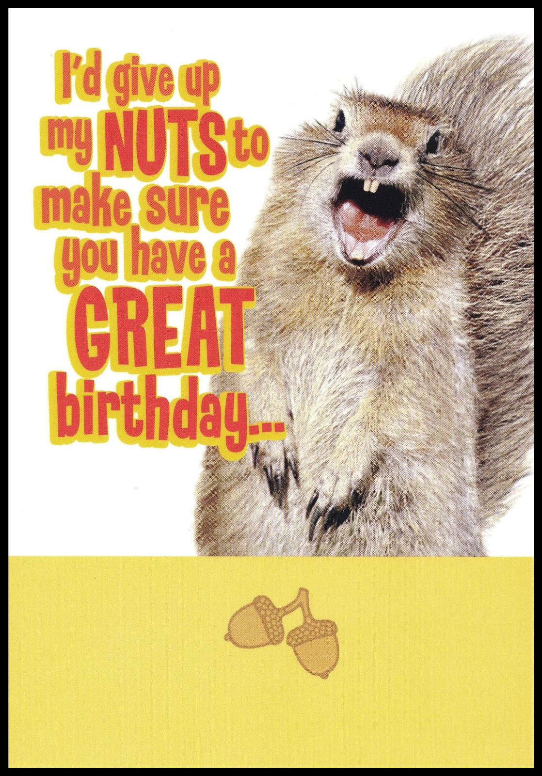 Greeting Card – Squirrel – Birthday – 0248