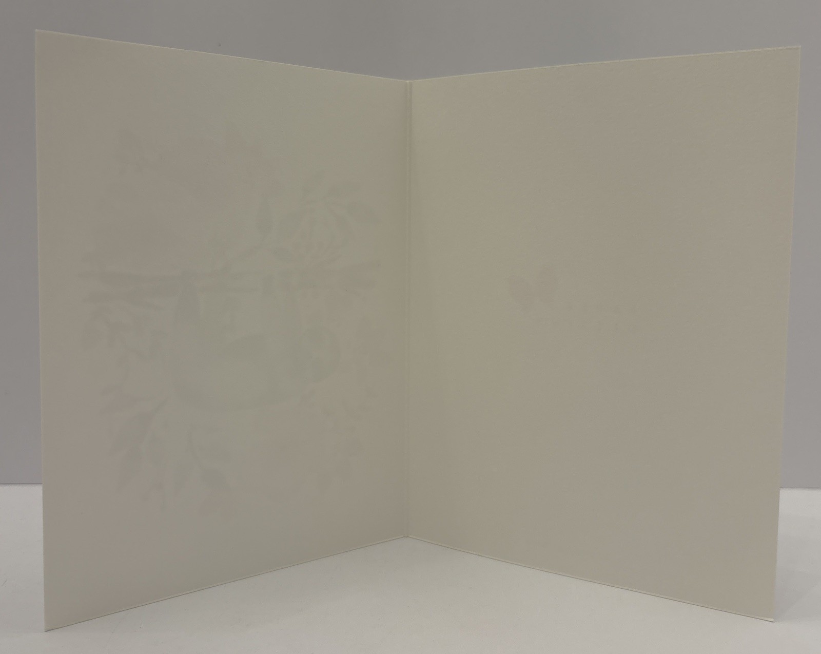 Paper Destiny Sloth Floral Blank Note Cards Boxed Set 12 Cards & Envelopes