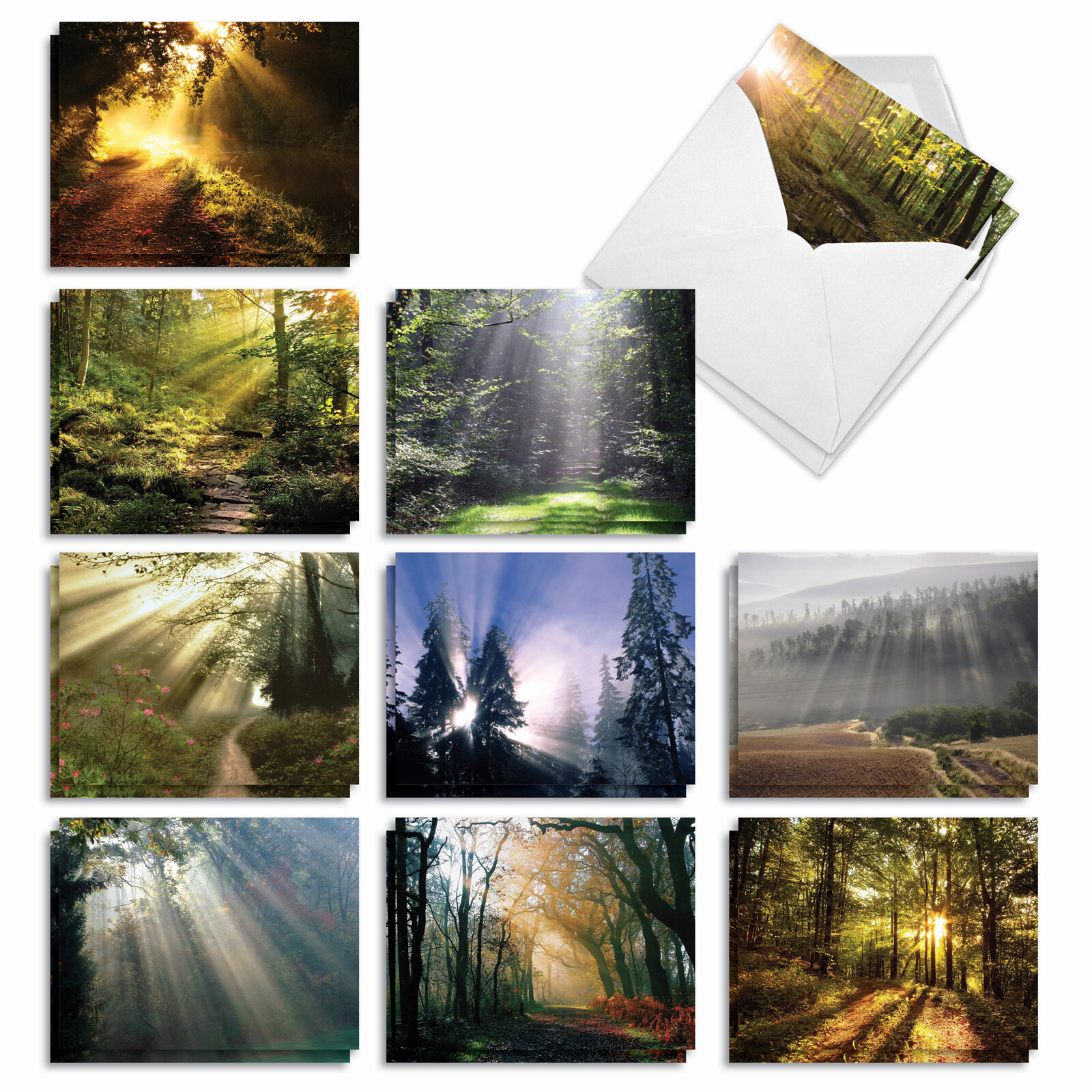 20 Blank Cards 4×5.12″ w/ Envelopes (10 Designs,2 Each) Shining Through