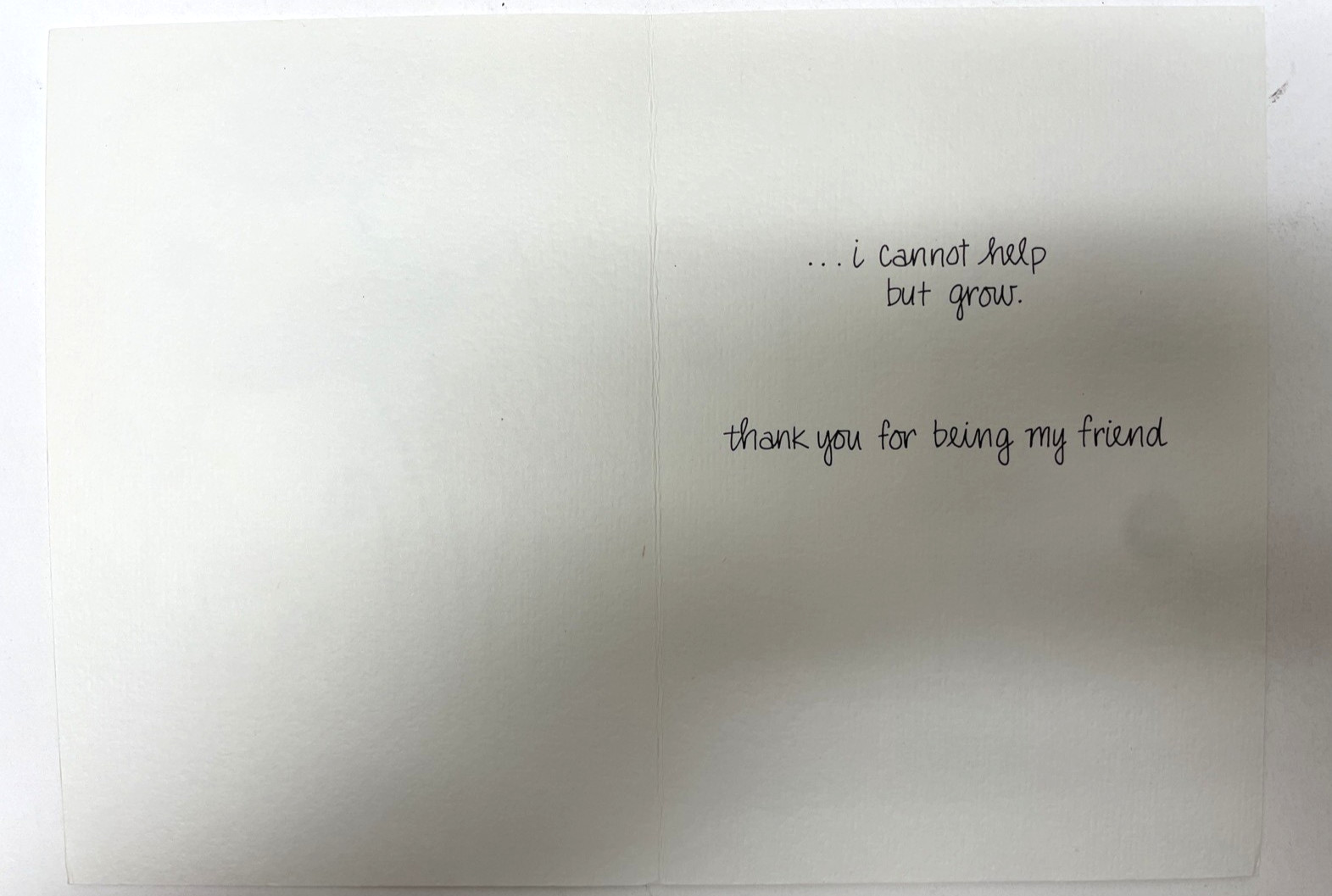 Thank You & Friendship Floral Garden Friendship Grows Greeting Card