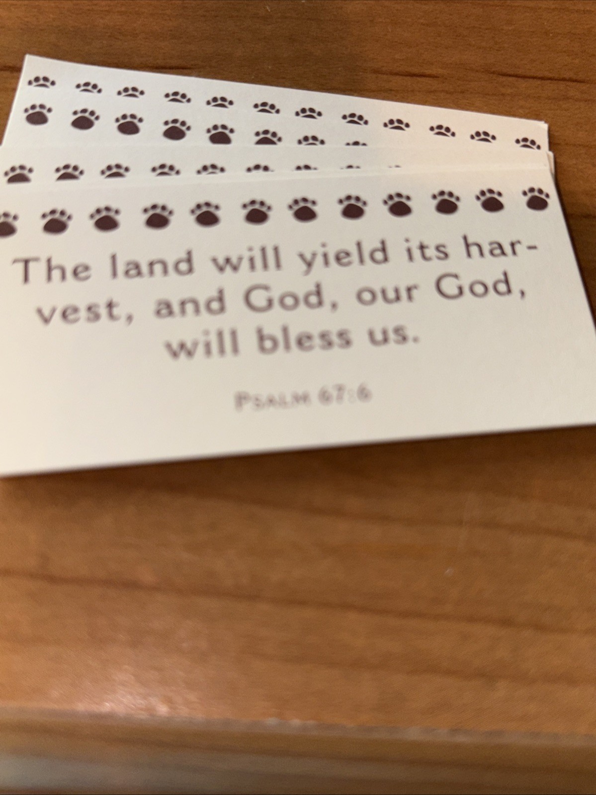 Faith and the Forest: Inspirio by Zondervan Scripture Card Log Cabin w/Bear Box