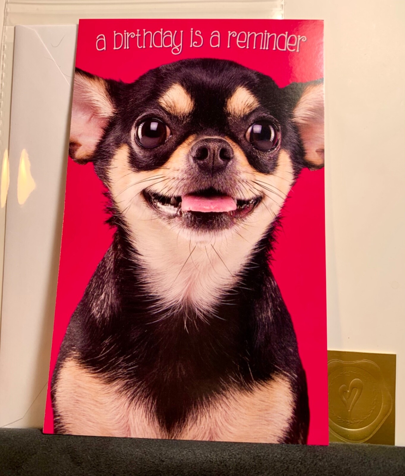 Happy Birthday Card! Sweet Chihuahua’s Reminder! Cute!