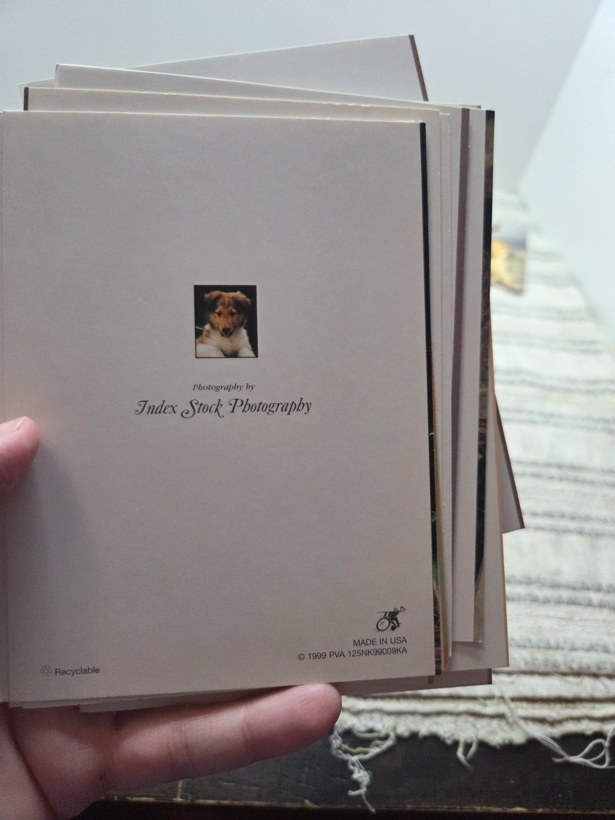 Puppies and kittens greeting cards lot of 19, any occasion