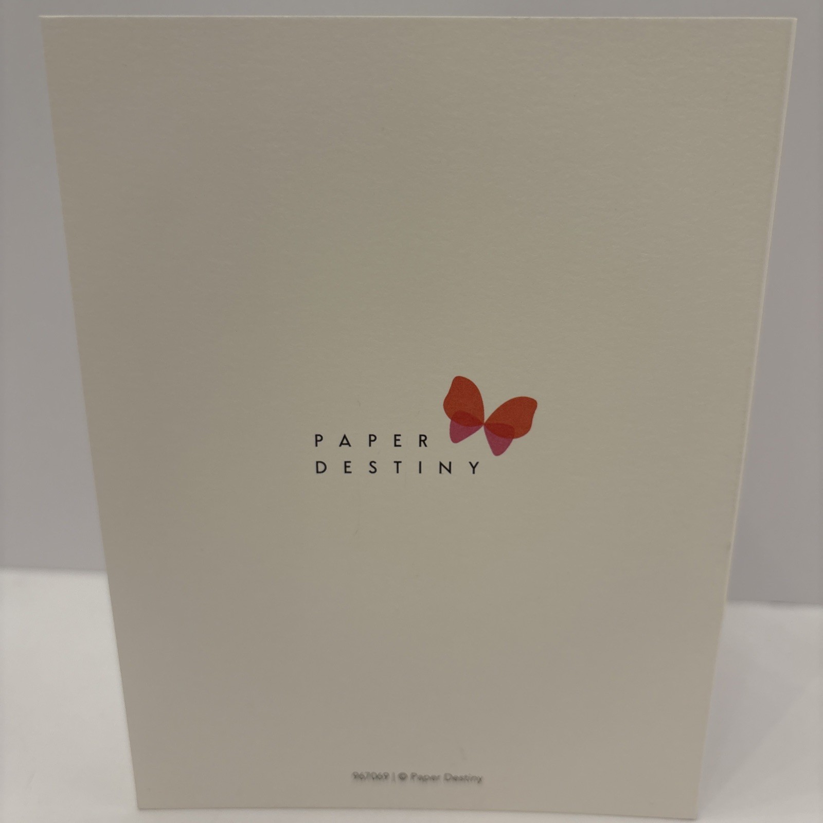 Paper Destiny Sloth Floral Blank Note Cards Boxed Set 12 Cards & Envelopes