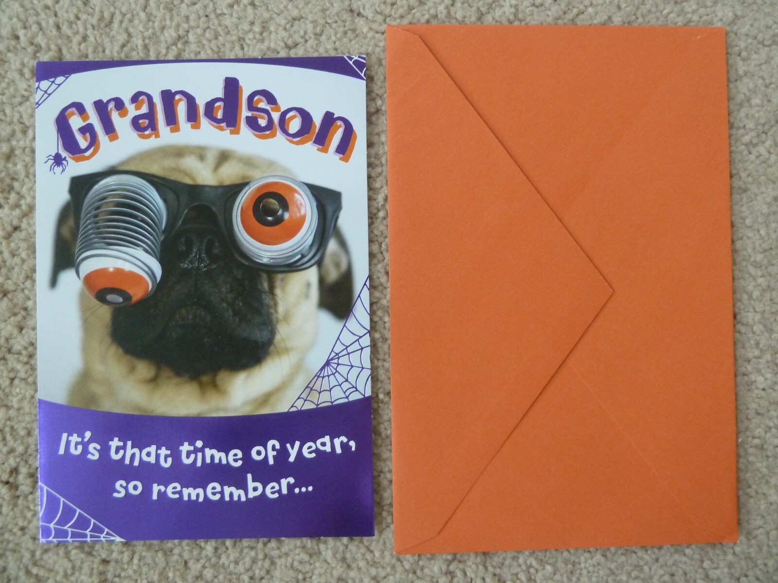 Hallmark Halloween Greeting Card Funny Pug Dog Keep An Eye Out for Fun