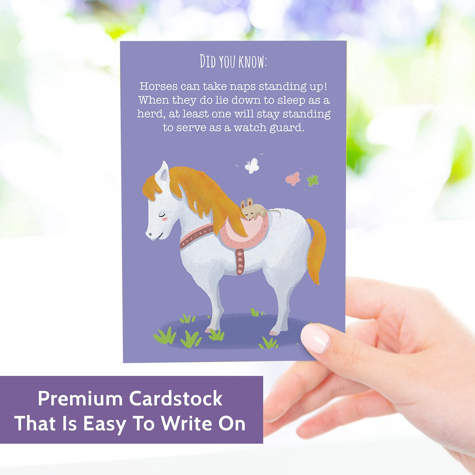 40 Animal Fun Fact Postcards – Bulk Thinking of You Postcard Pack for Kids, Stud
