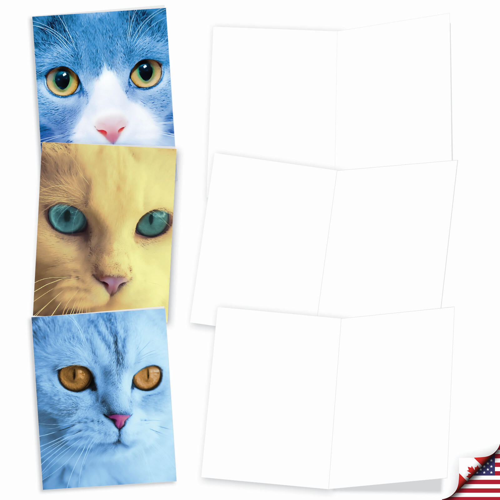 20 Assorted Blank Cards (10 Designs, 2 Ea) – Fancy Feline Faces AM7179OCB-B2x10