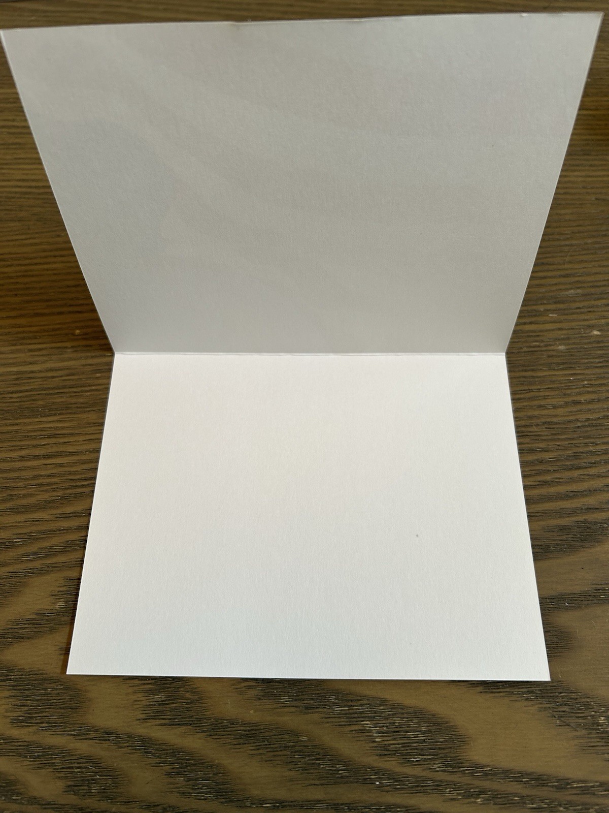 Orange white Pumpkins grateful 25 Blank Note Cards & Envelopes Buffini & Co
