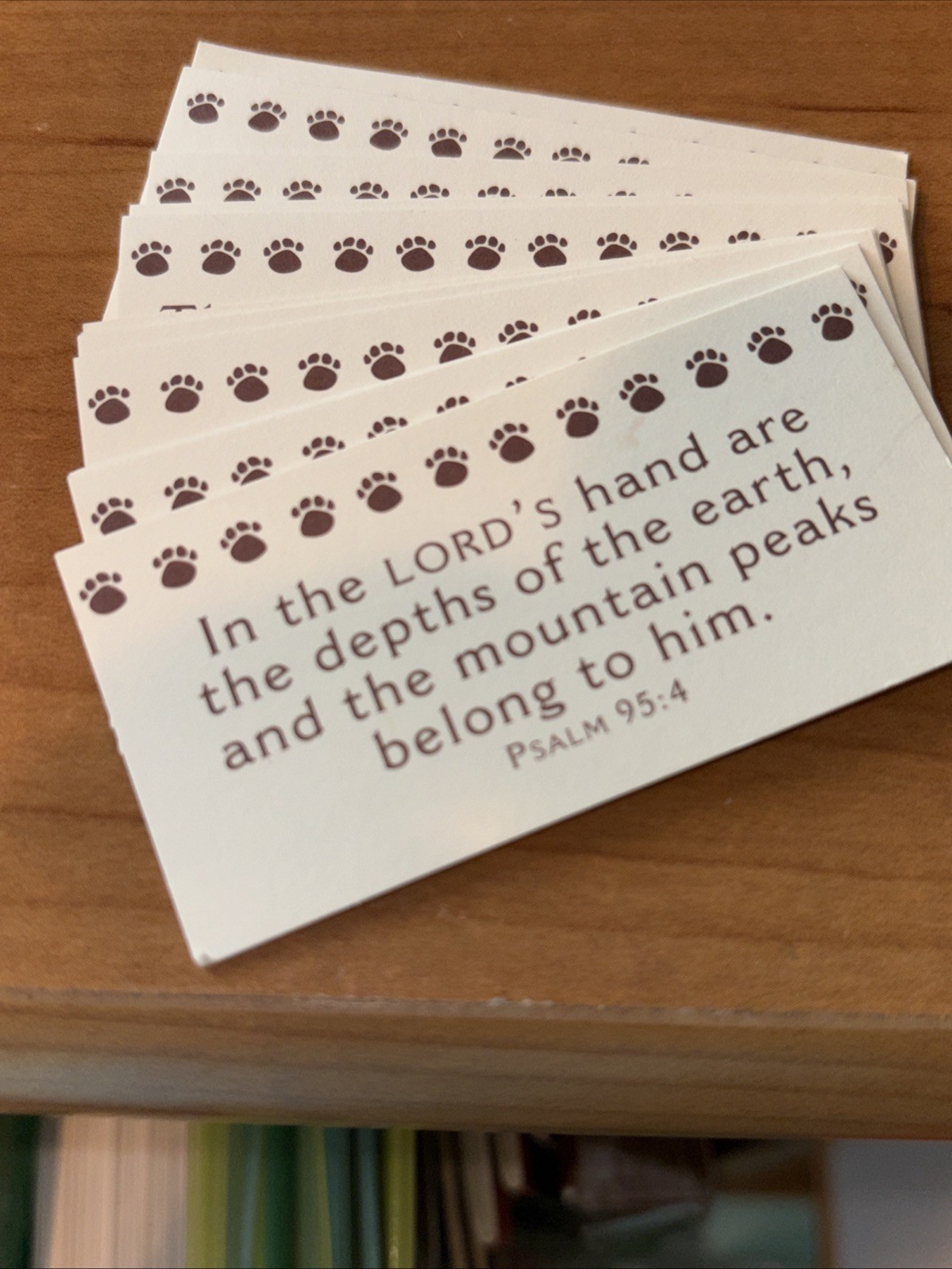 Faith and the Forest: Inspirio by Zondervan Scripture Card Log Cabin w/Bear Box