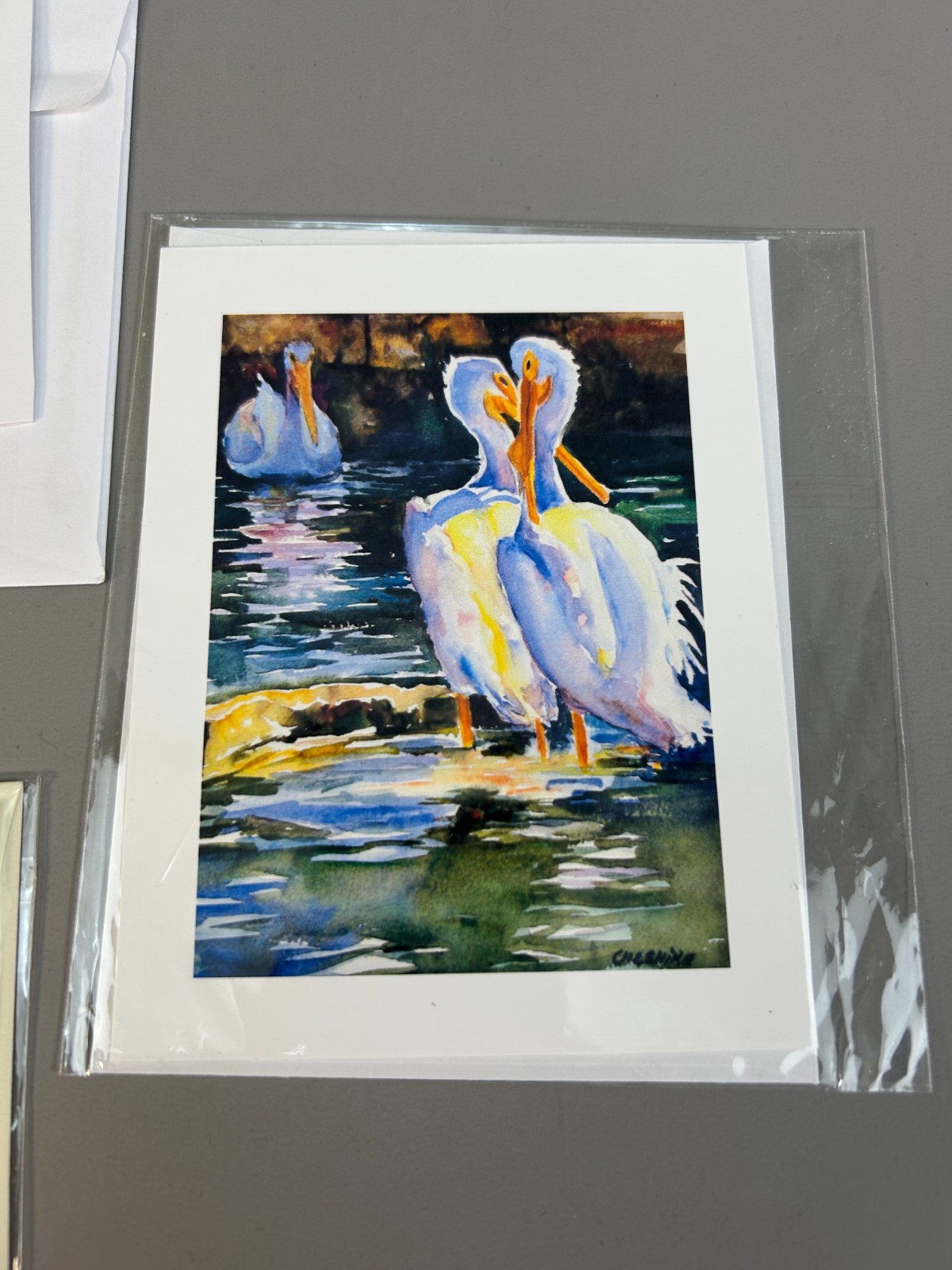 Lot 5 Watercolor Glossy Print Art Cards Artist Birds Landscape Sylvia St. Jean