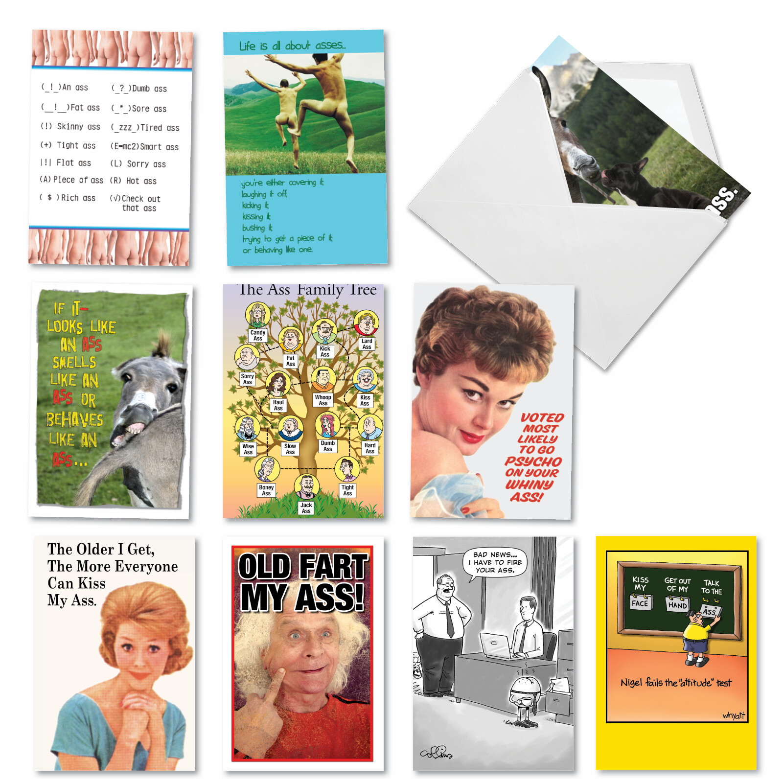 10 Funny Happy Birthday Cards with Envelopes – Classy Sassy and Assy