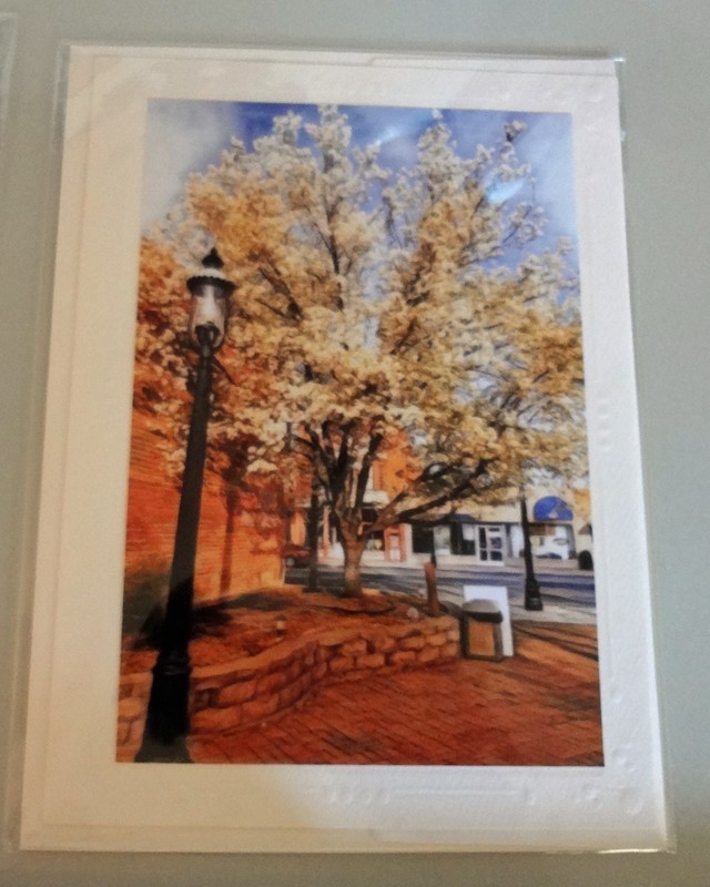 5 Nature Art Photo Greeting Cards Blank EACH SEALED Trees Bridge MORE P. Tripodi