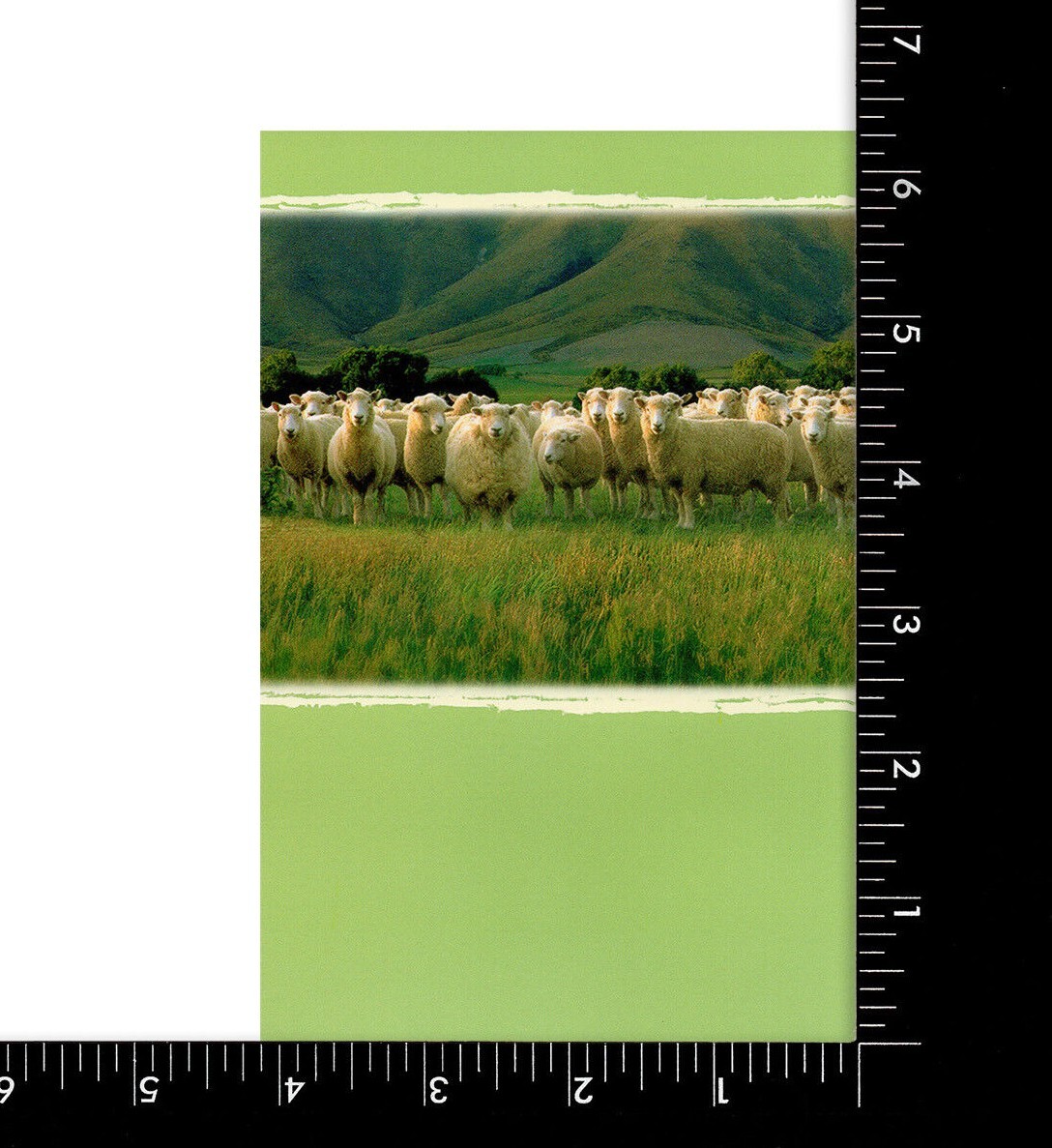 FUNNY “blah, blah, blah” SHEEP Card TO ANYONE by AMERICAN GREETINGS, + Envelope