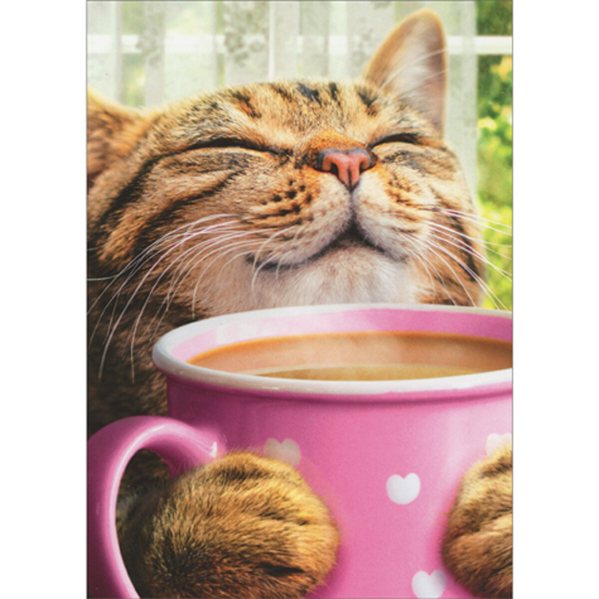 Brown Cat Holding Pink Mug and Smelling Coffee Aroma Mother’s Day Card