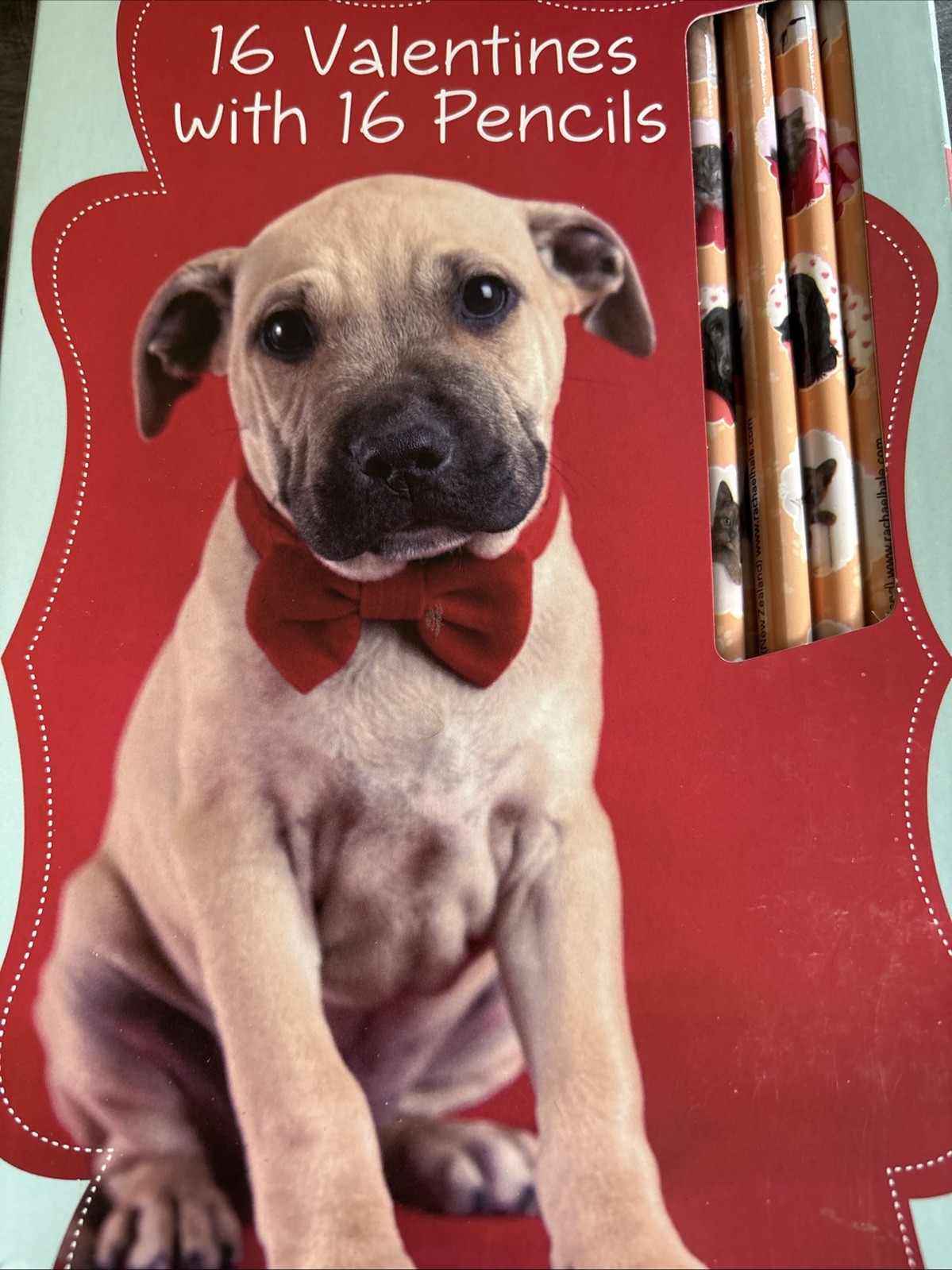 New – Rachaelhale 16 Valentines with 16 Adorable Pencils. CATS & DOGS! 2015 PMG