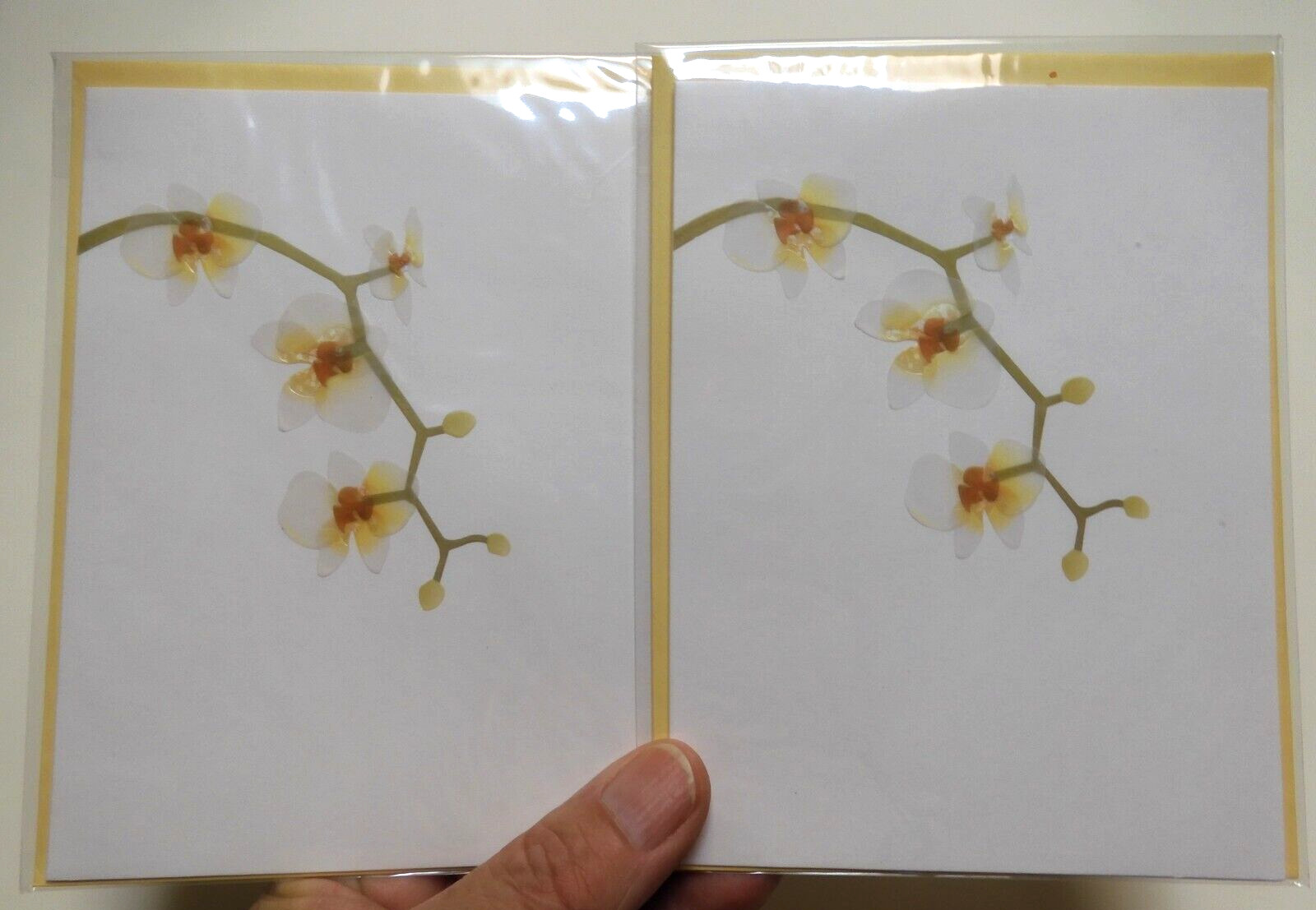 2 Cards Papyrus High Quality Beautiful Orchid Flowers Blank Inside