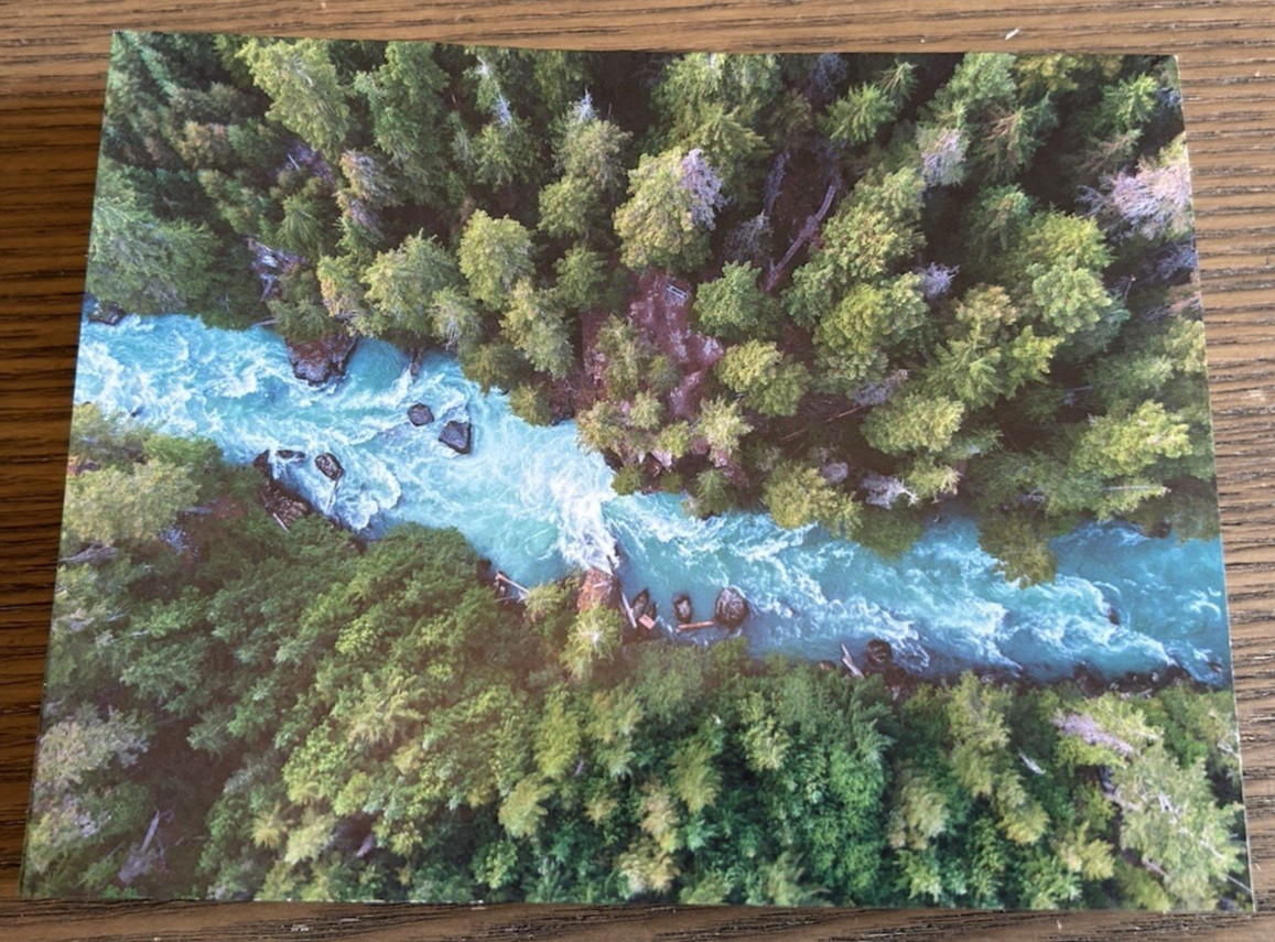 Trees and blue stream water 25 Blank Note Cards & Envelopes Buffini & Co