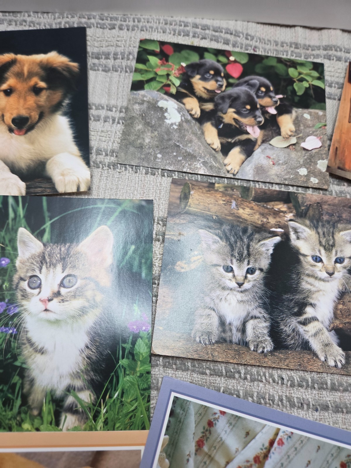 Puppies and kittens greeting cards lot of 19, any occasion