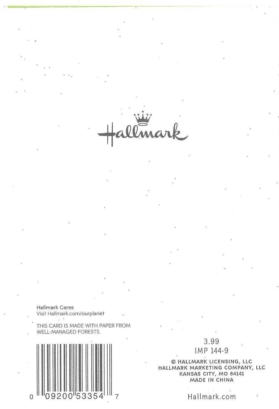 NEW Hallmark Card – BLANK approx 4.75×7″ TEAL AND LIME FOIL BALLOONS