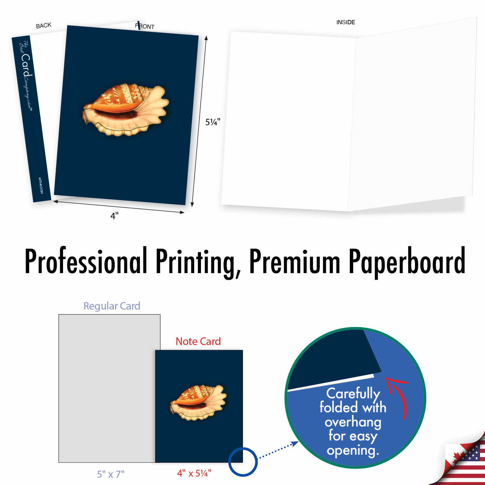 20 Assorted Blank Cards (10 Designs, 2 Ea) – Spectacular Shells AM7040OCB-B2x10