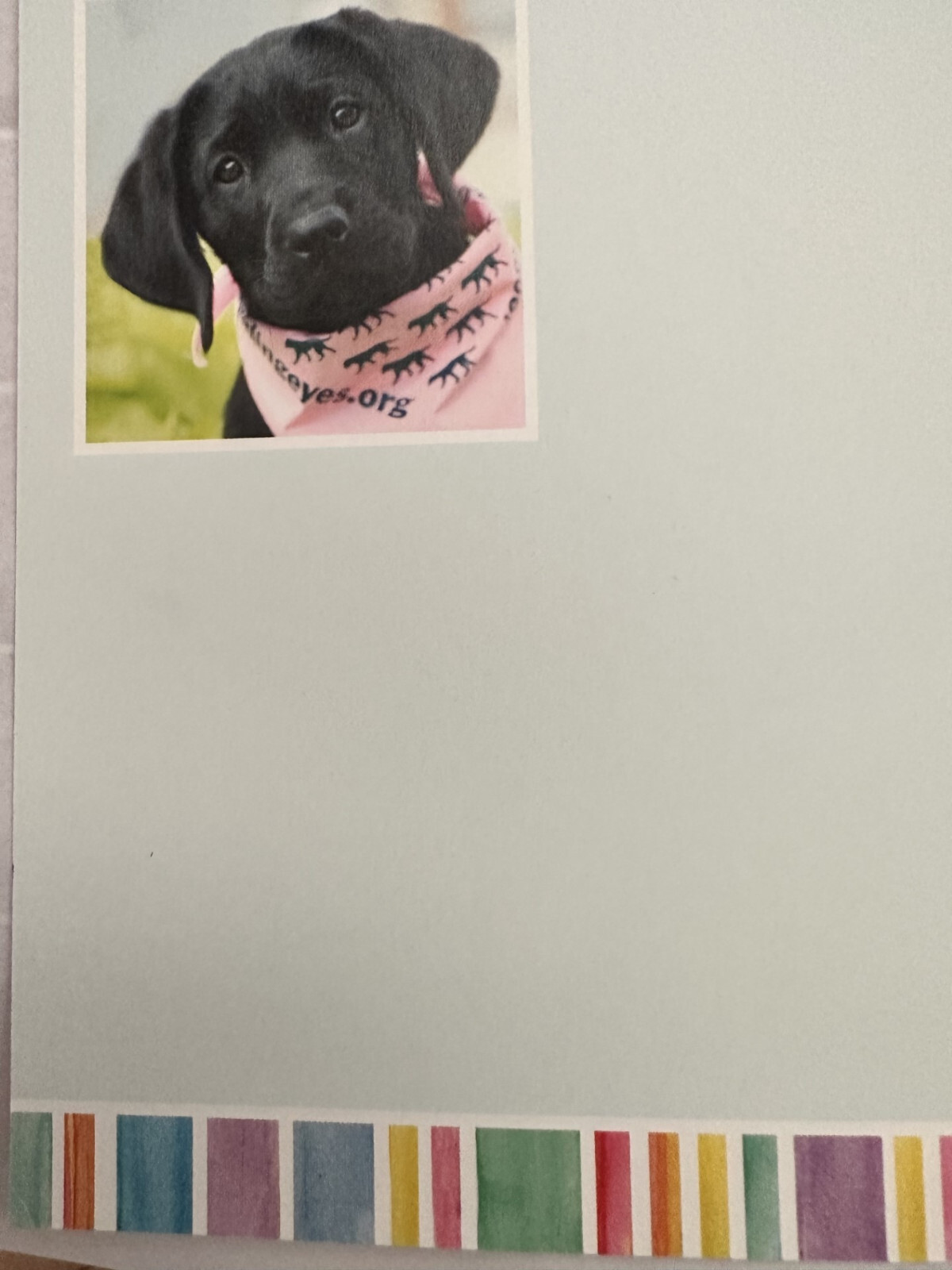 “For Someone Special on your Birthday” – Black Lab with Pink hanky 4.5″ X 6″