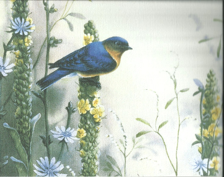 N-4 . Vintage Note Style Cards Subject Birds . Assortment of 5 and envelope
