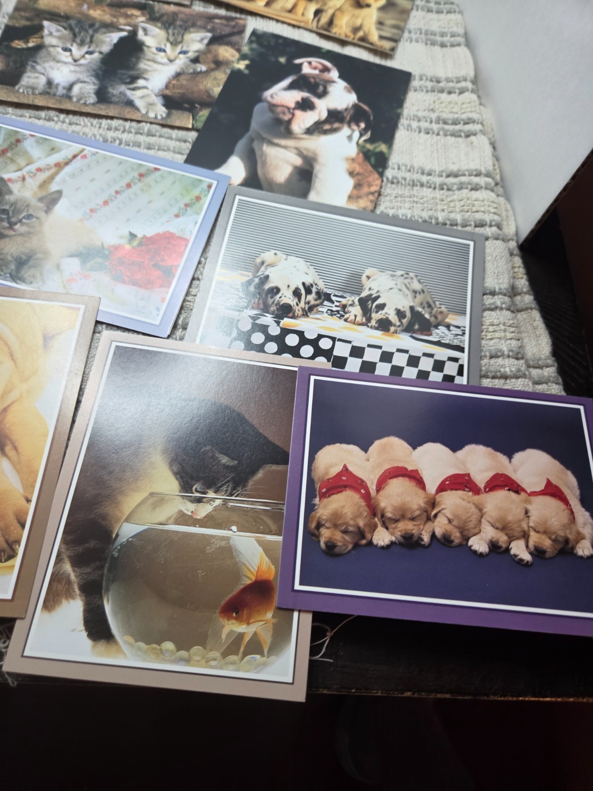 Puppies and kittens greeting cards lot of 19, any occasion