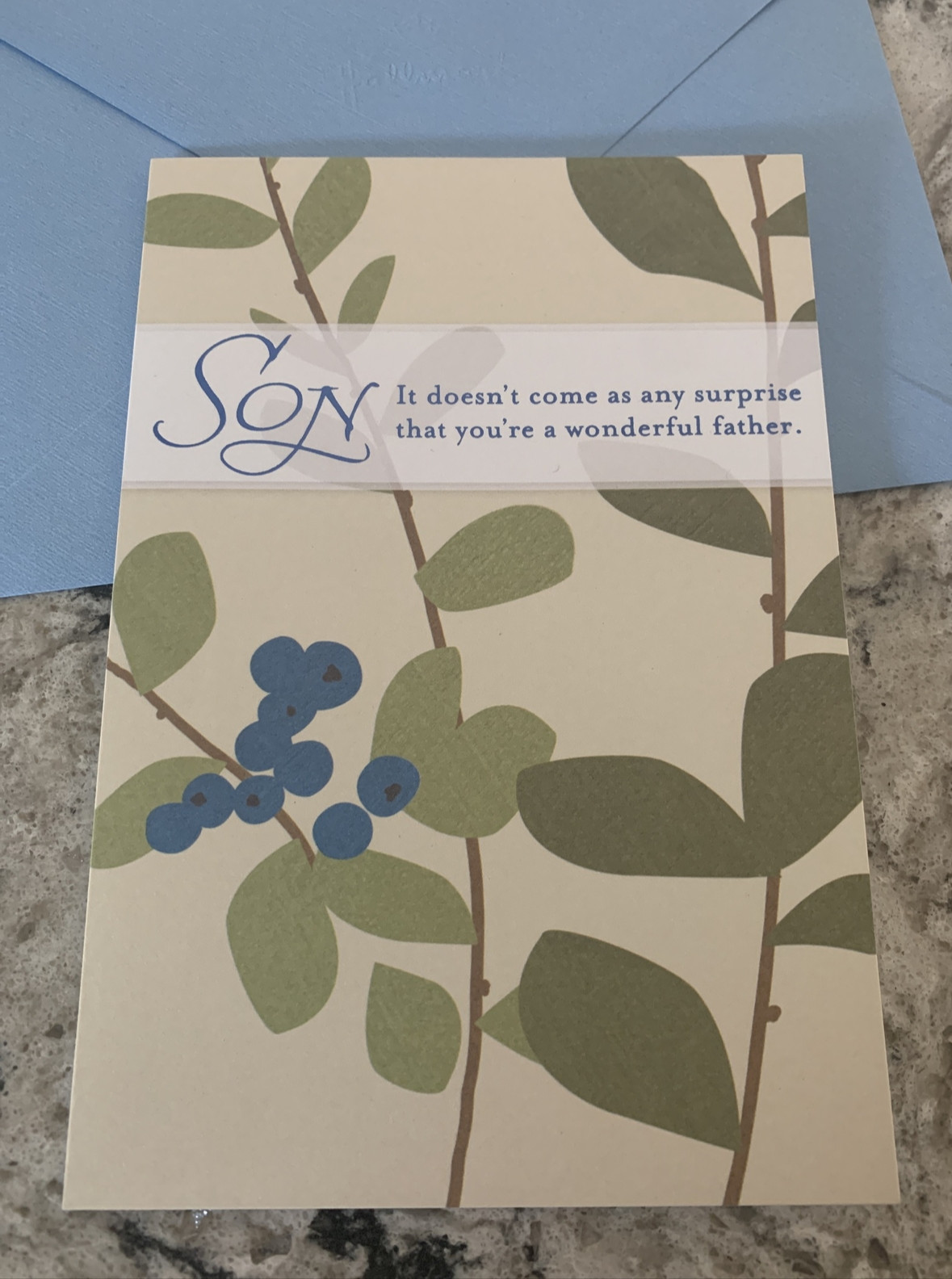 Father’s Day Great Son & Great Guy Wonderful Father 5”x7” Hallmark Greeting Card