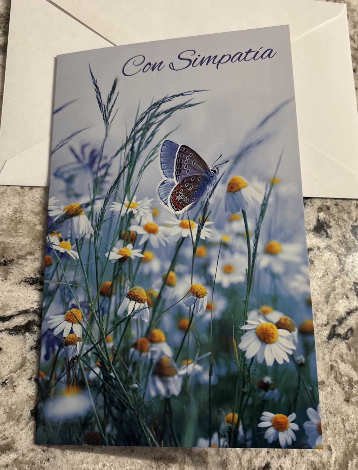 Spanish Sympathy Con Simpatia Loved One 5’x7.75″ Stockwell Greeting Card